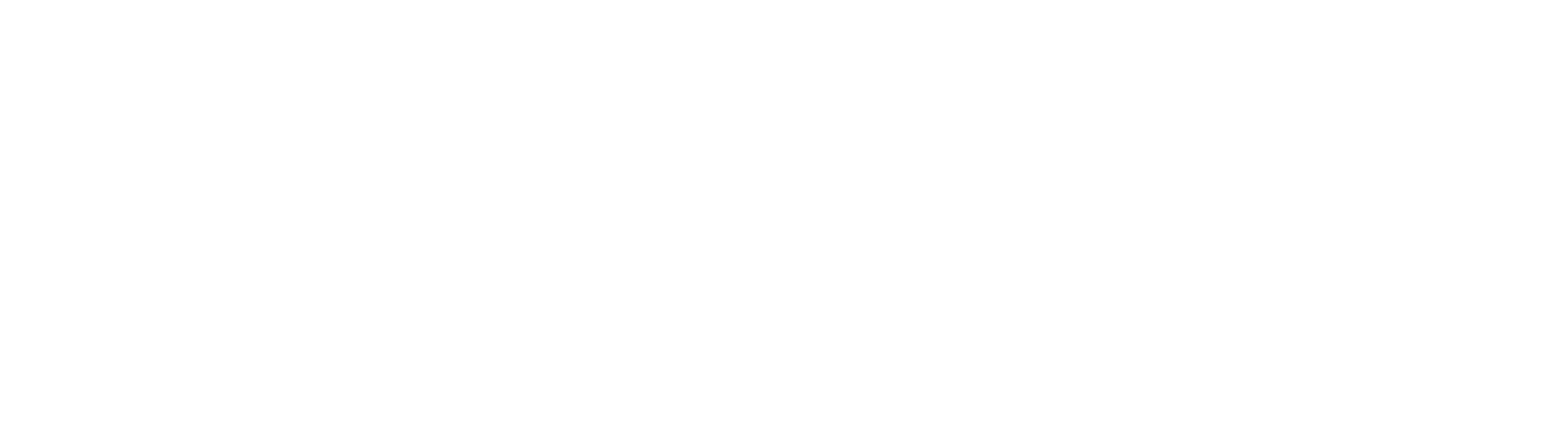 D Zone Logo